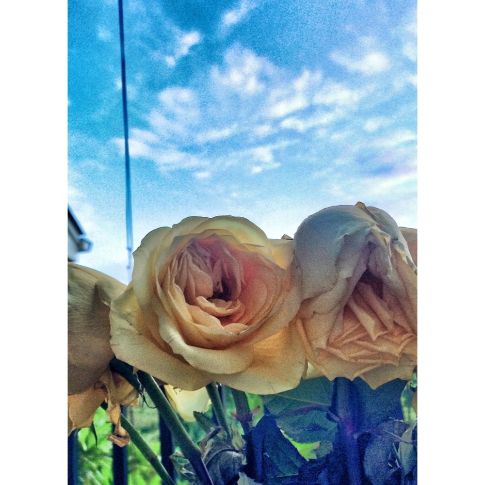 Meet your Posher, Christina